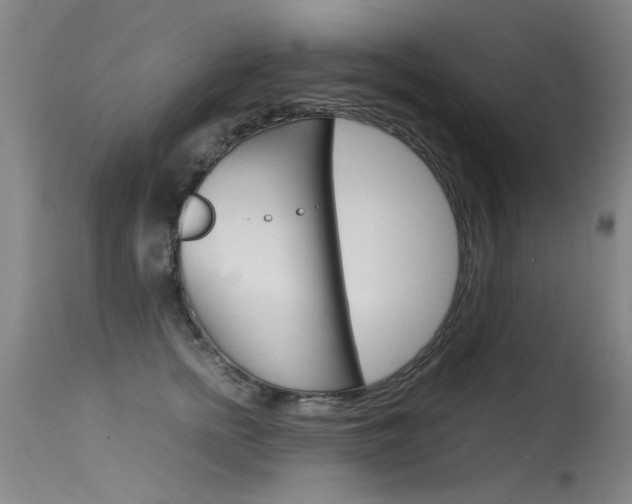 X0000115540758200911061150