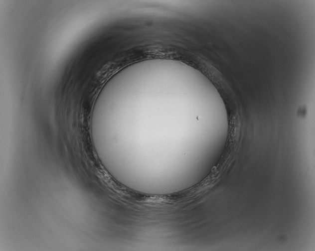 X0000115540762200911061150