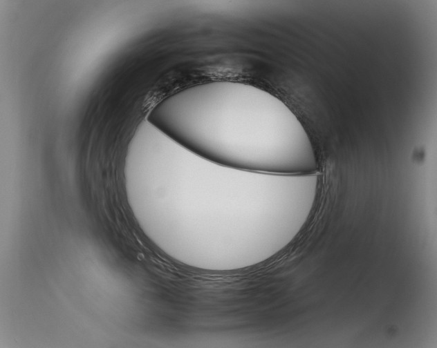 X0000115540763200911061150