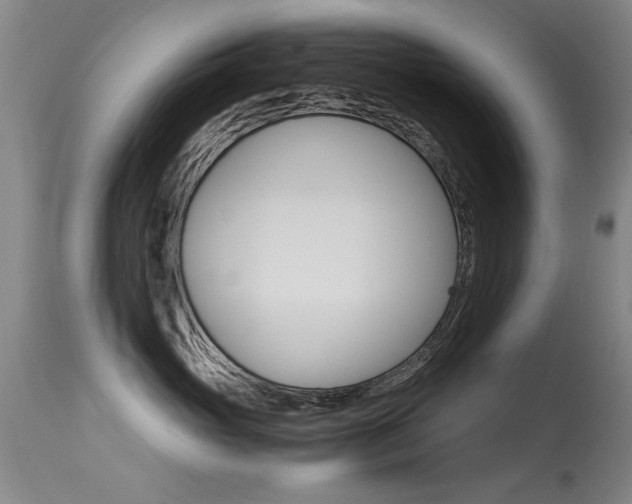 X0000115540765200911061150
