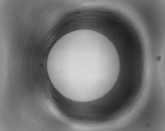 X0000115540766200911061150