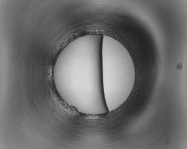 X0000115540767200911061150