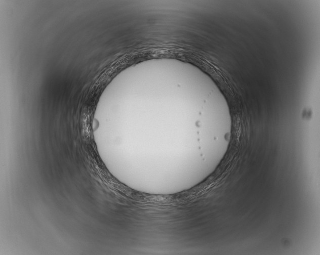 X0000115540770200911061149