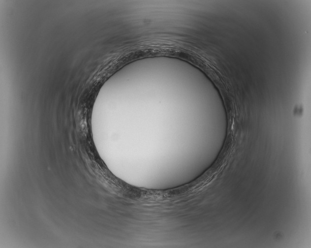 X0000115540771200911061149