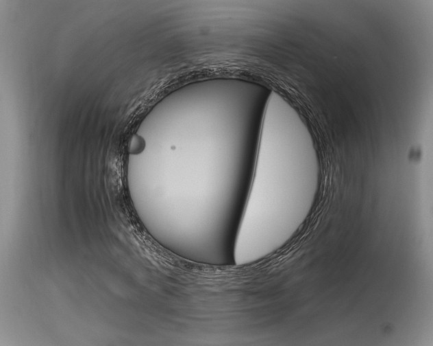 X0000115540772200911061149