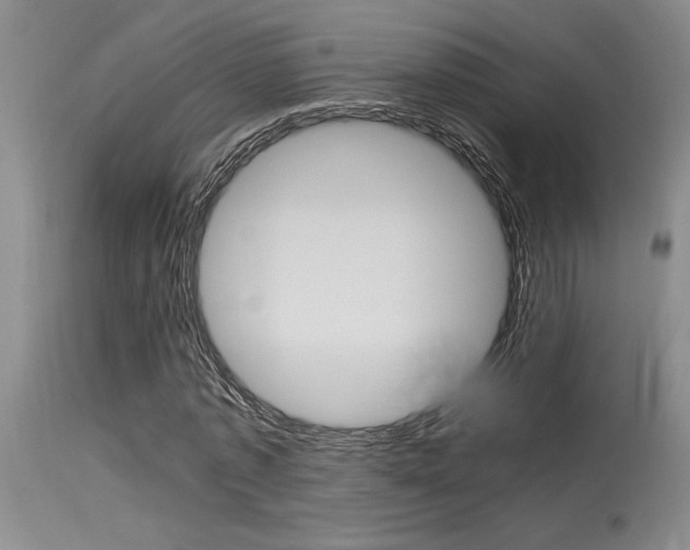 X0000115540773200911061149