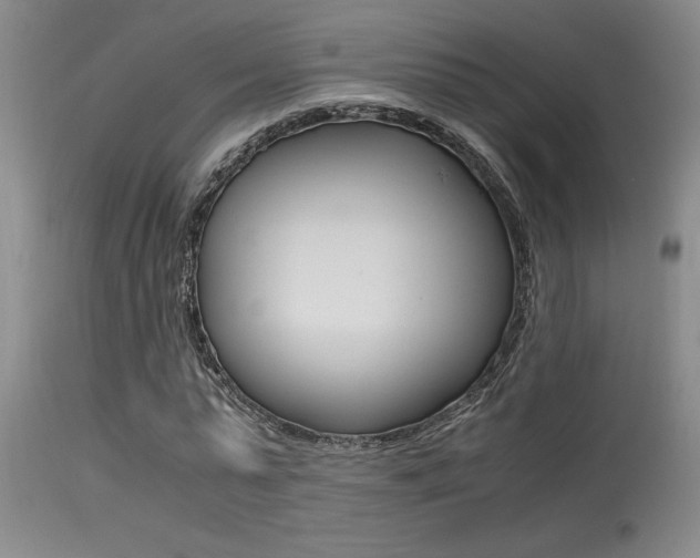 X0000115540775200911061149