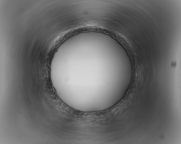 X0000115540776200911061149