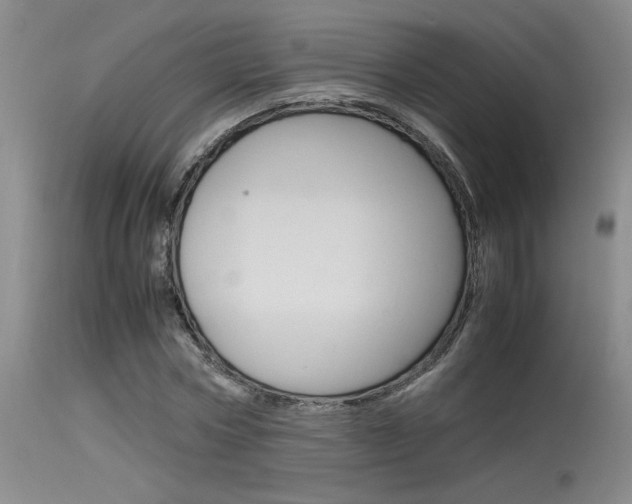 X0000115540778200911061149