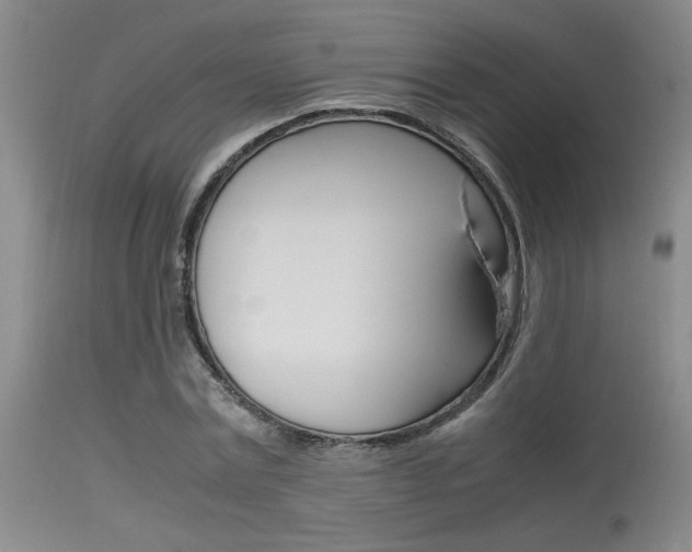X0000115540779200911061149