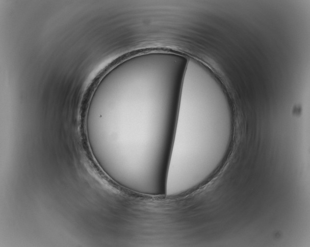 X0000115540780200911061149