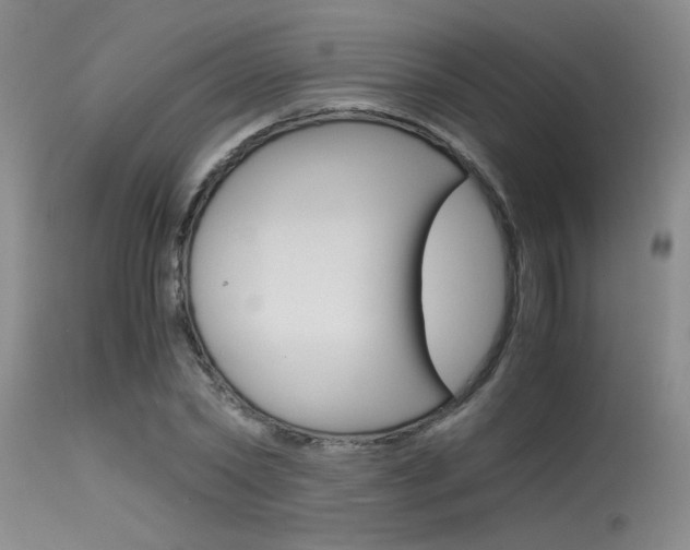 X0000115540782200911061149