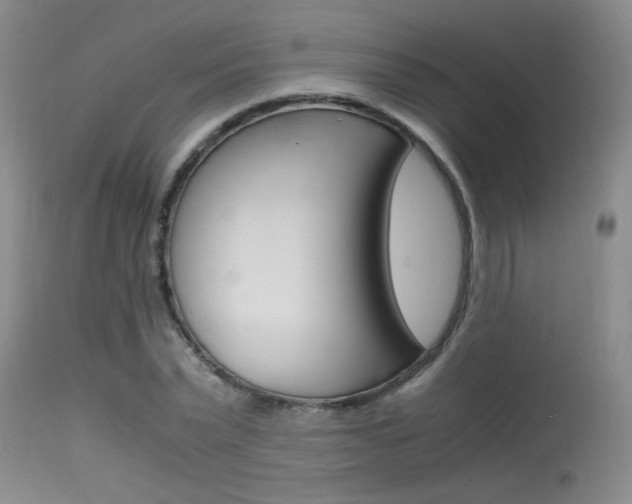 X0000115540783200911061149