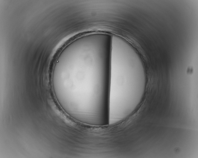 X0000115540784200911061149