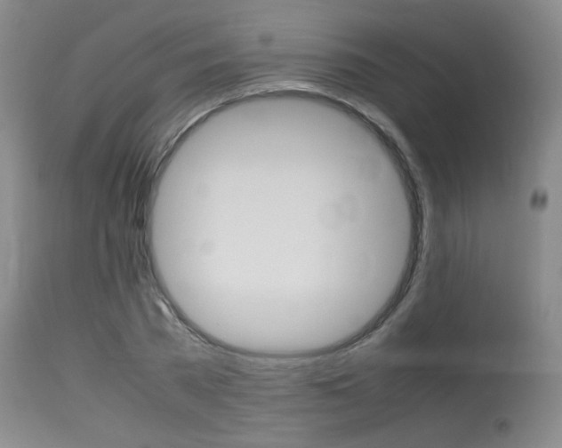 X0000115540785200911061149