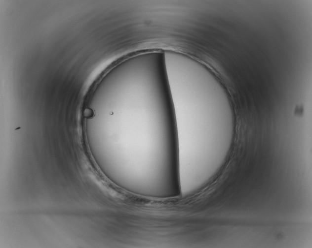 X0000115540788200911061149