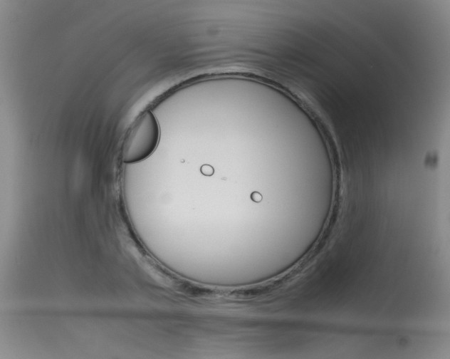 X0000115540789200911061149