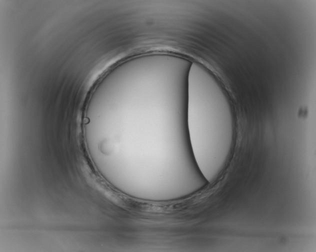 X0000115540790200911061149