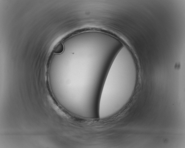 X0000115540791200911061149