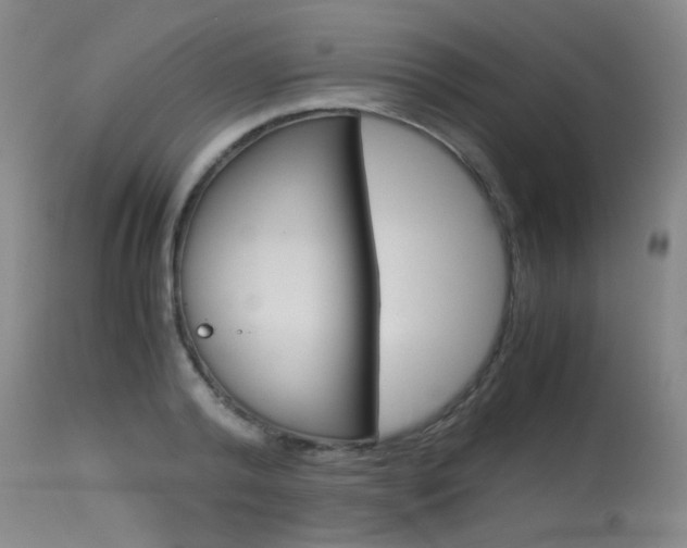 X0000115540792200911061149