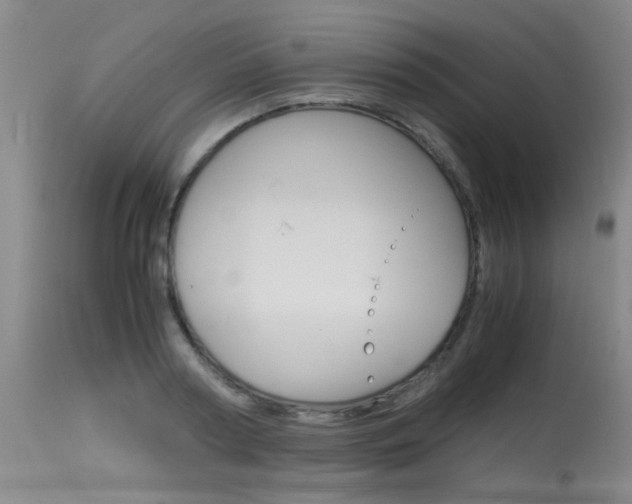 X0000115540794200911061149