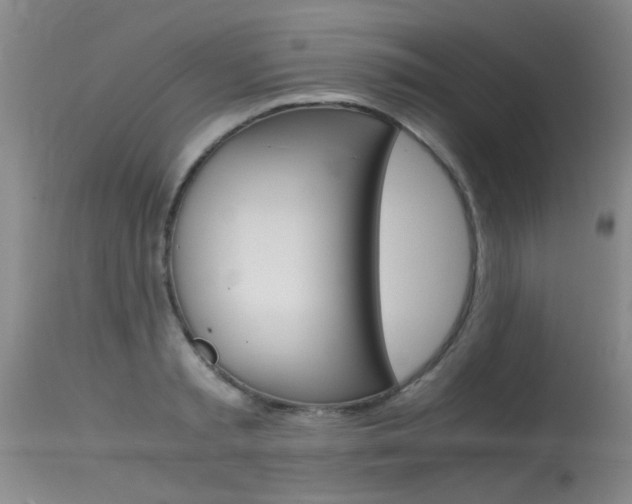 X0000115540797200911061149