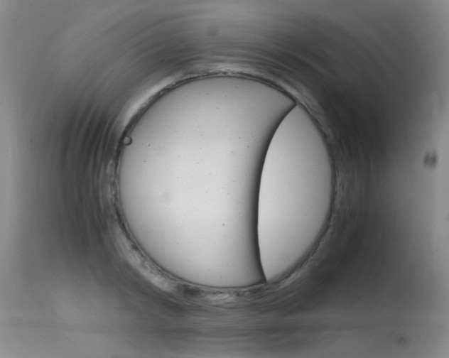 X0000115540798200911061149