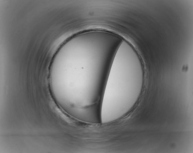 X0000115540799200911061149
