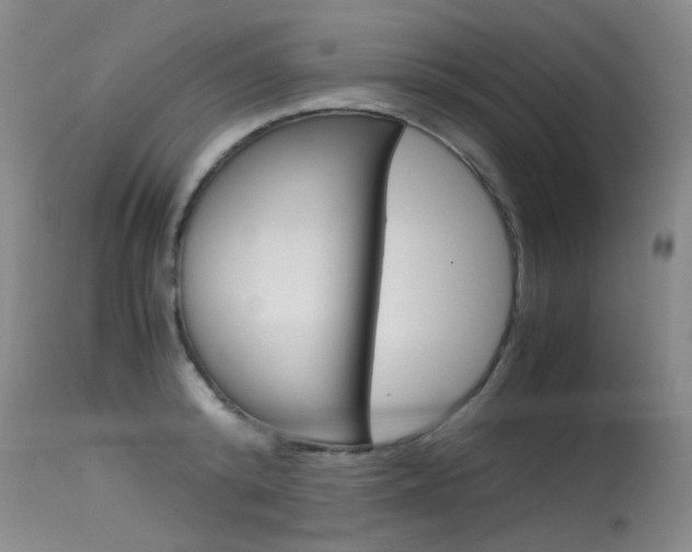 X0000115540800200911061149