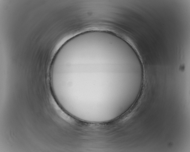 X0000115540803200911061149