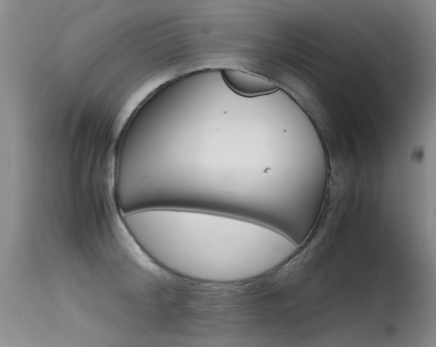 X0000115540804200911061149