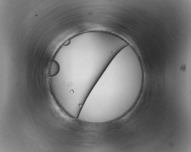 X0000115540806200911061149