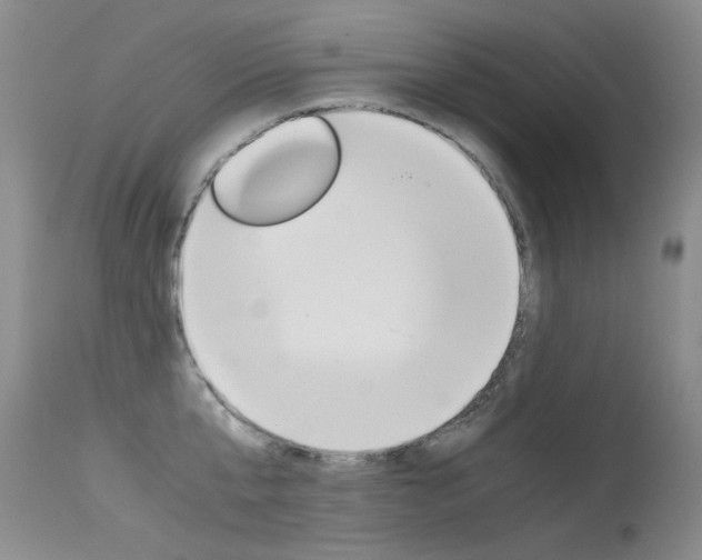 X0000115540807200911061149
