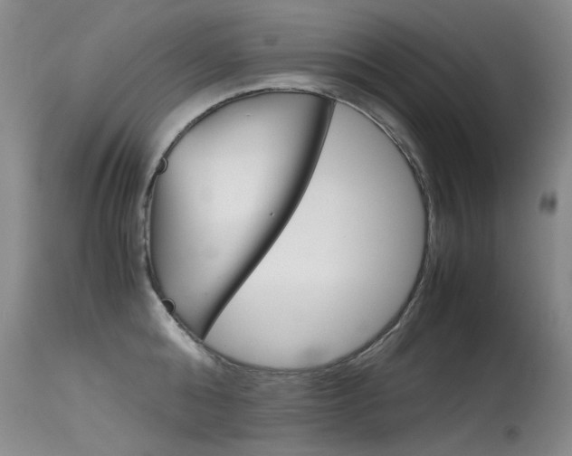 X0000115540808200911061149