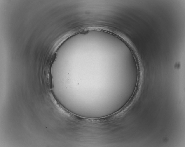 X0000115540809200911061149