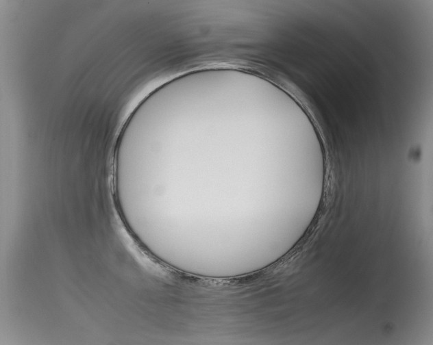 X0000115540811200911061149
