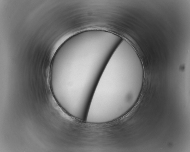 X0000115540812200911061149