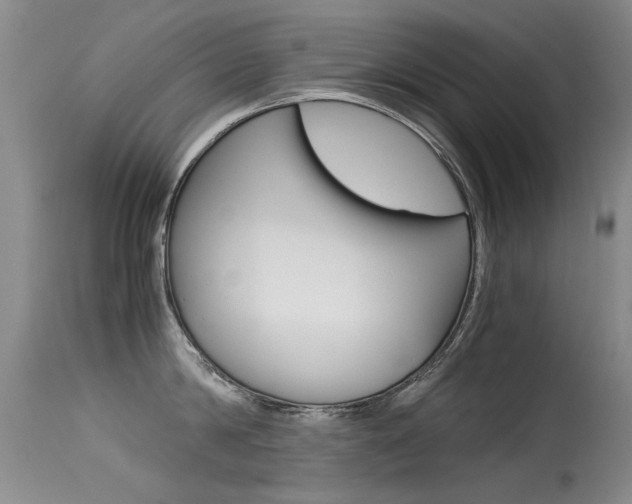 X0000115540814200911061149