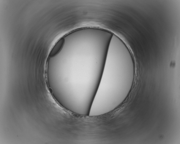 X0000115540815200911061149