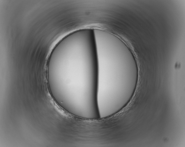 X0000115540816200911061149