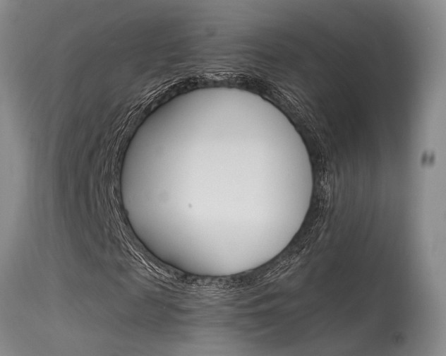 X0000115540817200911061148