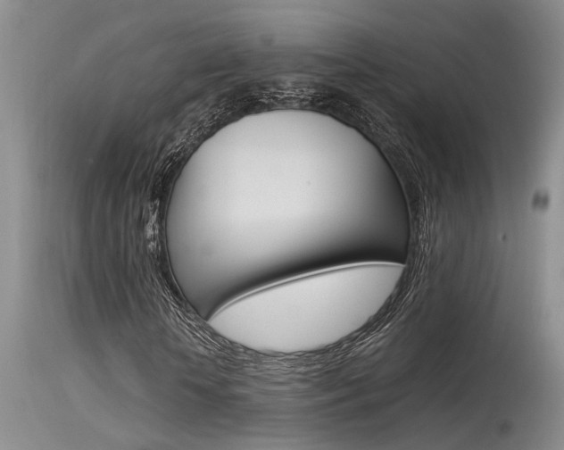 X0000115540818200911061148