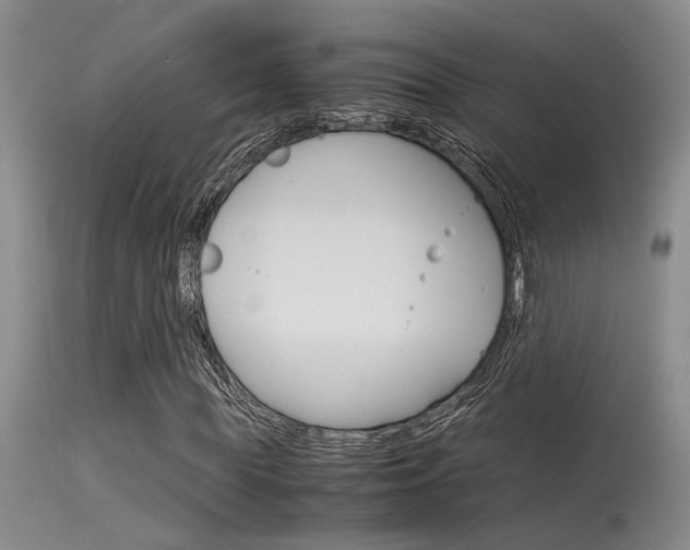 X0000115540819200911061148