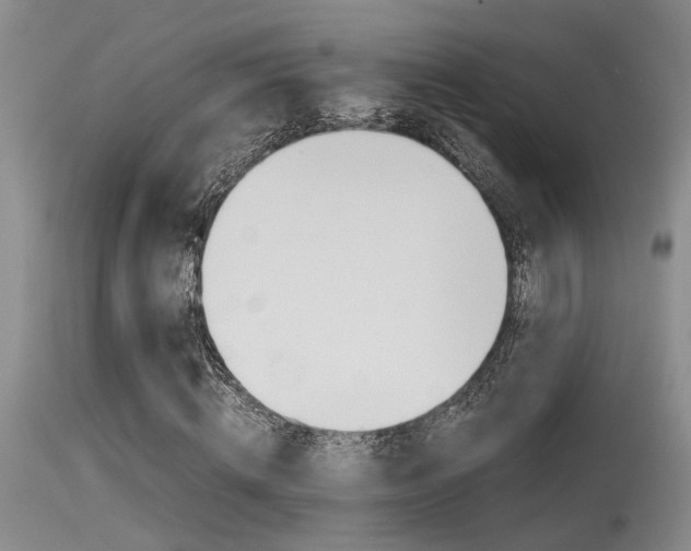 X0000115540820200911061148