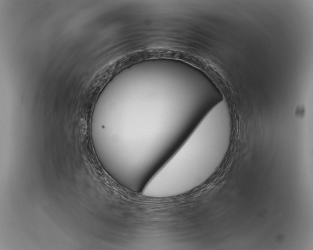 X0000115540821200911061148