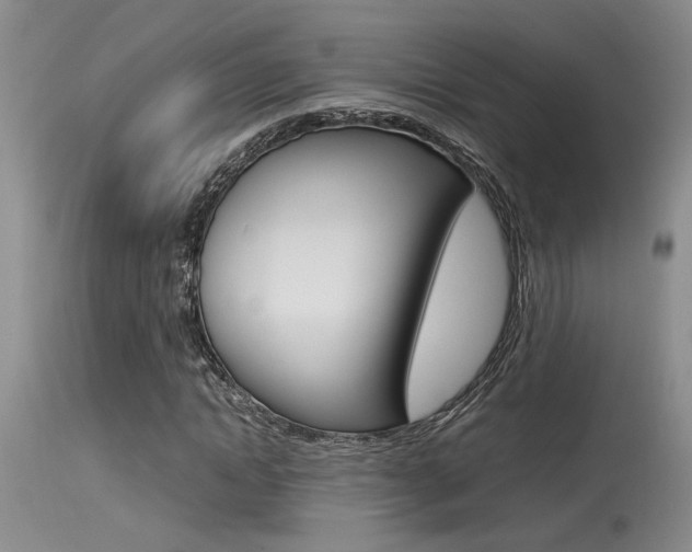 X0000115540822200911061148
