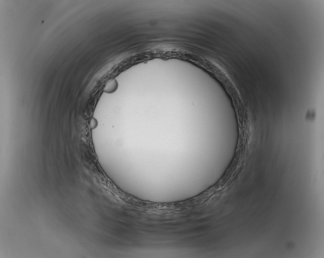 X0000115540823200911061148