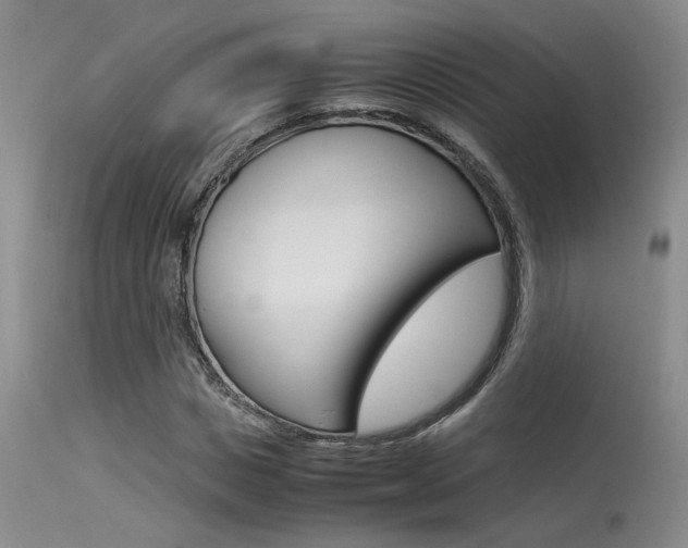 X0000115540825200911061148