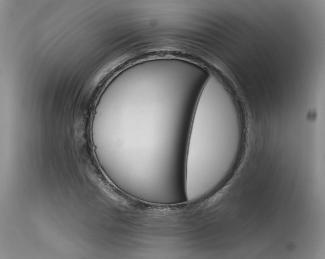 X0000115540826200911061148
