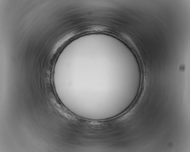 X0000115540827200911061148